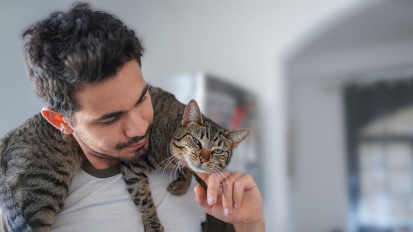 Bagaimana Cara Kucing Menyapa Pemiliknya